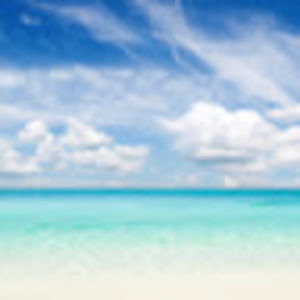 Meet your Posher, Dee ann